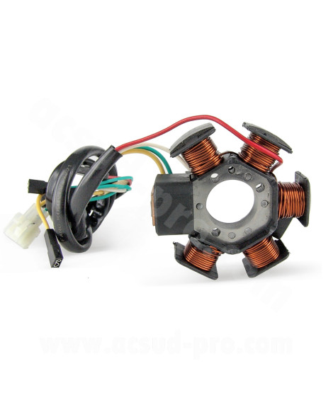 STATOR ALLUMAGE MOTO ADAPT DERBI 50 SENDA DRD PRO 2005-2011 GILERA SMT 2006 RCR 2006 APRILIA RS  MINARELLI AM6 TYPE DUCATI
