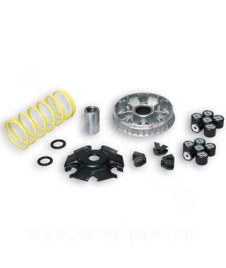 VARIATEUR MAXISCOOTER MALOSSI MULTIVAR 2000 ADAPT PEUGEOT 125cc DJANGO TWEET LXR  SYM 125CC GTS FIDDLE LONGJIA EASYMAX 125cc