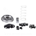 VARIATEUR MAXISCOOTER MALOSSI MULTIVAR 2000 SPORT ADAPT HONDA 125 PCX 2021 HONDA 125 FORZA 2021 HONDA 125 SH I 2020  (5118776)