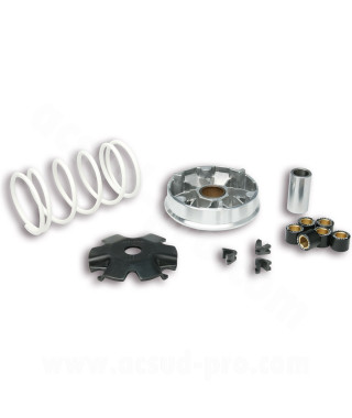 VARIATEUR SCOOT MALOSSI MULTIVAR ADAPT SCOOT CHINOIS 139QMB GY6 PEUGEOT 50 KISBEE V-CLIC 4T SYM 50 ORBIT 4T KYMCO 50 AGILITY 4T